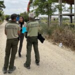 El Ayuntamiento de Ciempozuelos pospone la demolición del ‘esqueleto’ a pesar de los informes favorables de la Consejería de Medioambiente tras haber pedido opinión a expertos sobre los anidamientos