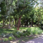 El Área de Jardines va a proceder a la aplicación de herbicida en distintas zonas verdes del municipio