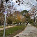 Abierto a los vecinos y las vecinas el parque San Juan de Dios de Ciempozuelos