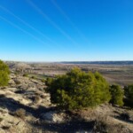 Ciempozuelos acoge sus I Jornadas de Medioambiente
